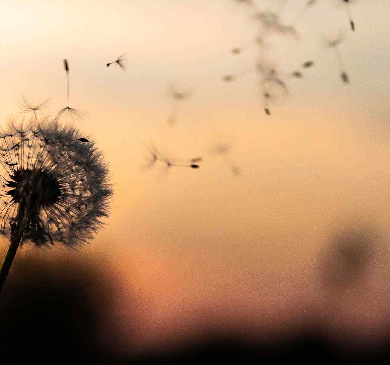https://tdc.turnkeyitworks.com/wp-content/uploads/2018/09/post_02-1280x1200.jpg